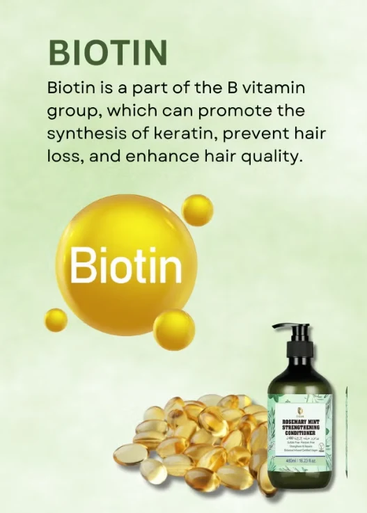 Rosemary Mint Strengthening Conditioner